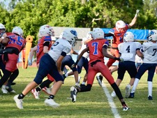 Enlarge photo 533