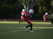 Enlarge photo 550