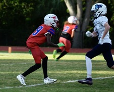 Enlarge photo 552