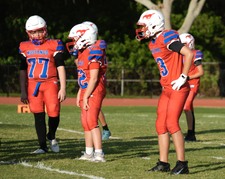 Enlarge photo 559