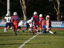 Enlarge photo 610