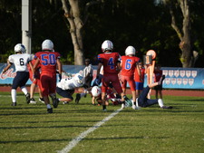 Enlarge photo 611