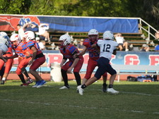Enlarge photo 726