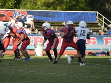 Enlarge photo 727