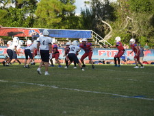 Enlarge photo 750