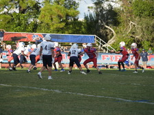 Enlarge photo 751
