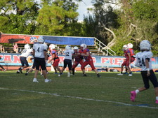 Enlarge photo 754