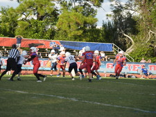 Enlarge photo 765