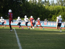 Enlarge photo 775