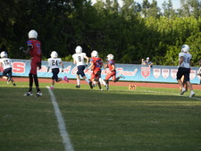 Enlarge photo 776