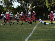 Enlarge photo 818