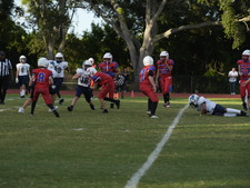 Enlarge photo 819