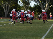 Enlarge photo 826