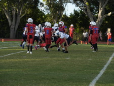 Enlarge photo 827