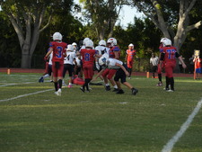 Enlarge photo 828