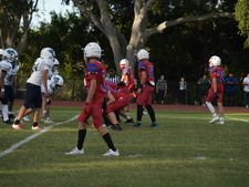 Enlarge photo 839
