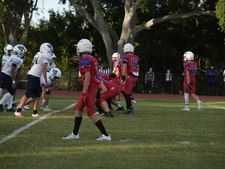 Enlarge photo 842