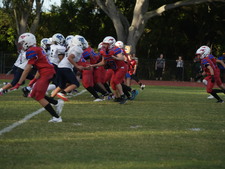 Enlarge photo 847