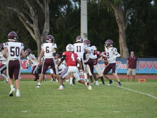 Enlarge photo 49