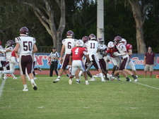 Enlarge photo 51