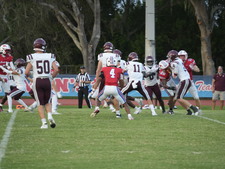 Enlarge photo 52