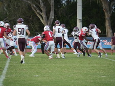 Enlarge photo 54