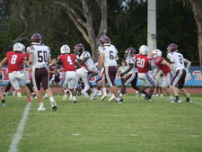 Enlarge photo 57