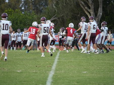 Enlarge photo 59