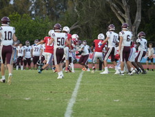 Enlarge photo 61