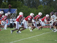 Enlarge photo 93