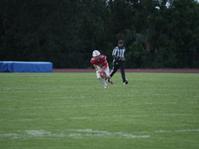 Enlarge photo 153