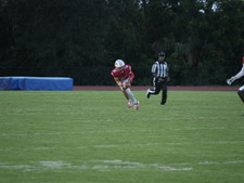 Enlarge photo 154