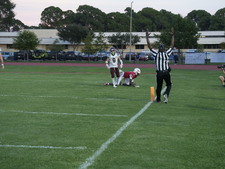 Enlarge photo 215