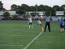 Enlarge photo 221
