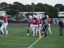 Enlarge photo 241