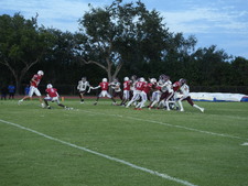 Enlarge photo 253