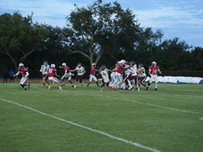 Enlarge photo 259
