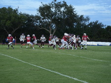 Enlarge photo 260