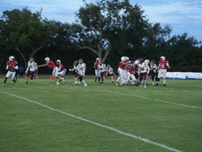 Enlarge photo 262