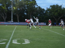 Enlarge photo 270