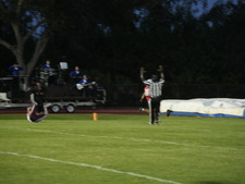 Enlarge photo 460