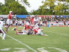 Enlarge photo 1007