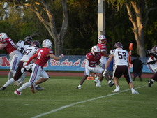 Enlarge photo 1126
