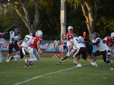 Enlarge photo 1128