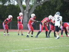Enlarge photo 91