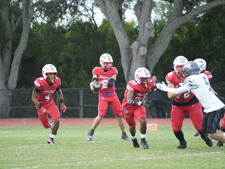 Enlarge photo 95