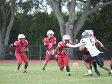 Enlarge photo 97