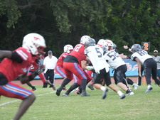 Enlarge photo 135