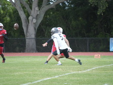 Enlarge photo 141