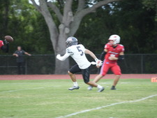Enlarge photo 143